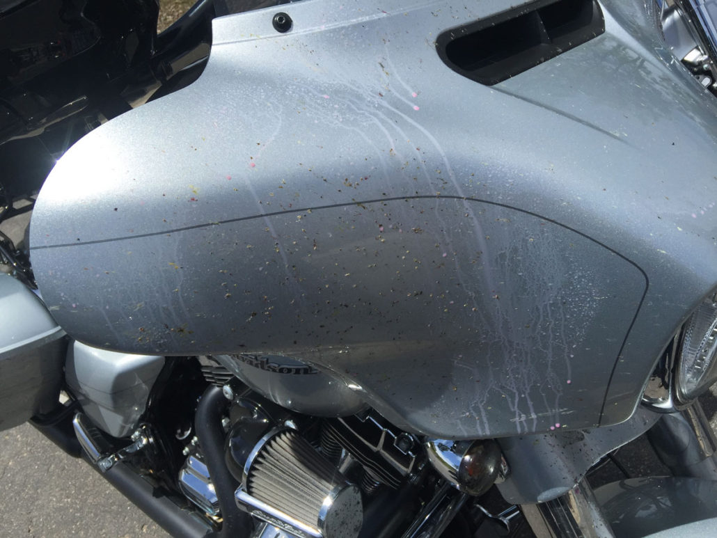 The Trick to Cleaning Bugs Off of Your Motorcycle Fairing