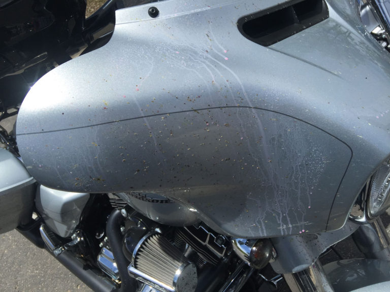 The Trick to Cleaning Bugs Off of Your Motorcycle Fairing