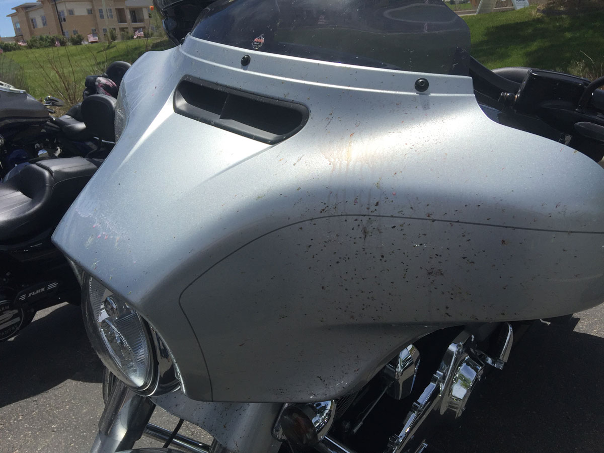 Spray the bugs with Dirty Biker - Quick Detailer and let it soak for 1-5 min.